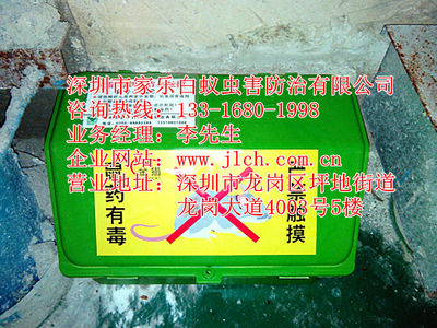 坪山專業(yè)除蟲滅鼠、白蟻防治